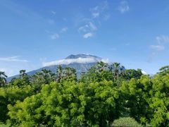 -飞鱼&摩娜潜水度假村