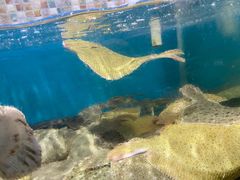 -港畔赶海蒸汽海鲜烧烤自助(仙螺岛店)