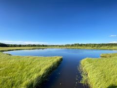 -塞罕坝国家级自然保护区
