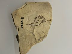 -辽宁古生物博物馆