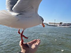 -呈贡滇池生态湿地公园