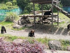 -宁波野生动物园