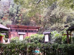 -明月山天沐温泉度假村