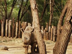 -北京野生动物园