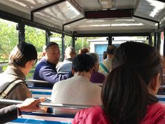 游乐设施-橘子洲景区
