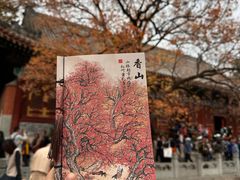 -香山公园