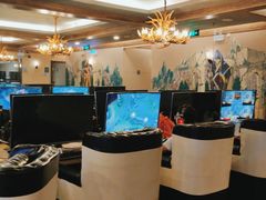 -网鱼电竞(杨浦中原店)