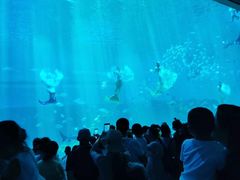 -南昌融创海世界