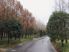 -上海山野camping·户外天幕烧烤·团建拓展营地