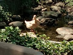 -太白山御龙湾温泉