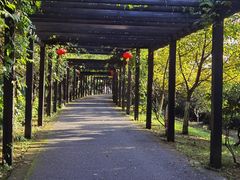-九龙潭景区