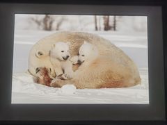 -罗红摄影艺术馆