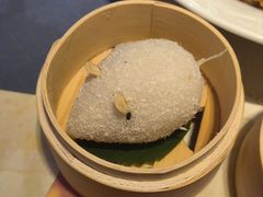 -点都德·毕德寮
