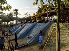 -宝安西湾红树林湿地公园