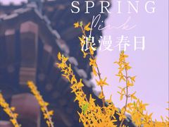 -水西公园