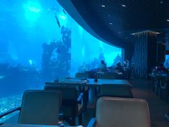 -海棠湾洲际-涛·海底餐厅·美人鱼·自助餐·海底隧道