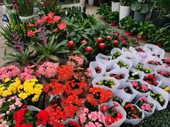 -三圣花乡旅游区