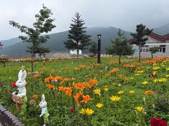 -五台山风景名胜区