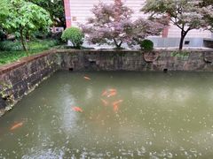 -浙江省博物馆(孤山馆区)