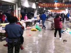 -济南海鲜大市场