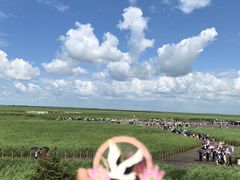 -黑龙江扎龙生态旅游区