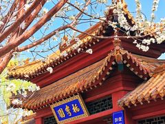 -桃花堤公园