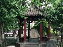 -温江公园