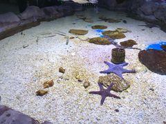 -多彩贵州城极地海洋世界