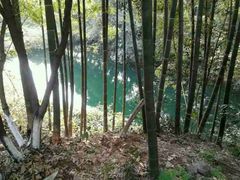 -十八棵（老龙井）御茶园(老龙井店)