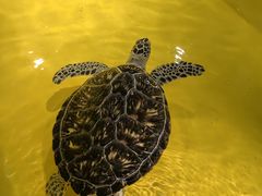 -秦皇岛新澳海底世界