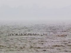 -嬉子湖生态旅游区