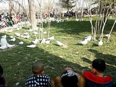 紫荆山公园-紫荆山公园