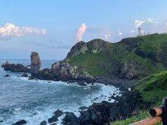 -涉地可支