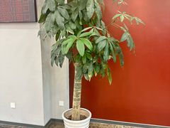 -中国工商银行(上海市徐汇支行华山路支行)