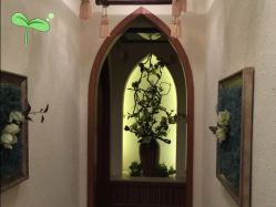 点击看大图 -芳香乐府SPA·五行芳疗