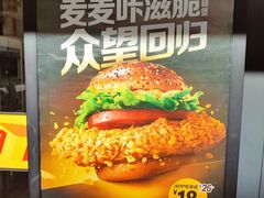 -麦当劳(开平潭江店)