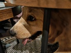 -Five沸屋·交友社交酒吧·homebar