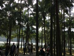 -西樵山风景名胜区-天湖公园