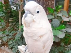 -南宫五洲植物乐园