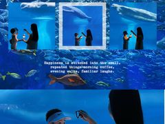 -海合安武汉极地海洋公园