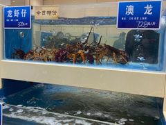 水产区-双井轩(双井店)