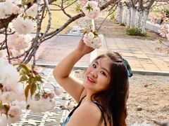 -济南国际园博园