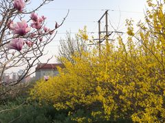 -云岗森林公园