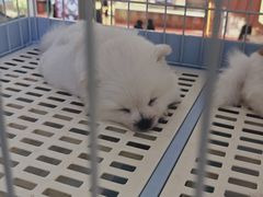 -鹏欣水游城