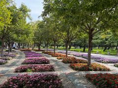-石家庄市植物园
