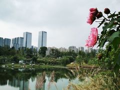 -桂溪生态公园