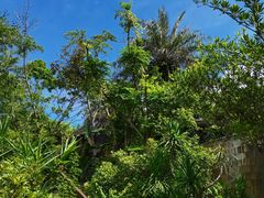 -广州锦绣香江度假别墅