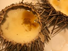 -海胆小馆(东北水饺·春柳店)