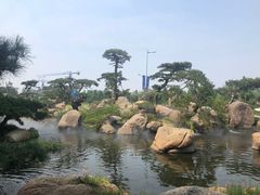 -罗红摄影艺术馆