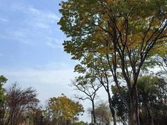 -盘龙城国家考古遗址公园